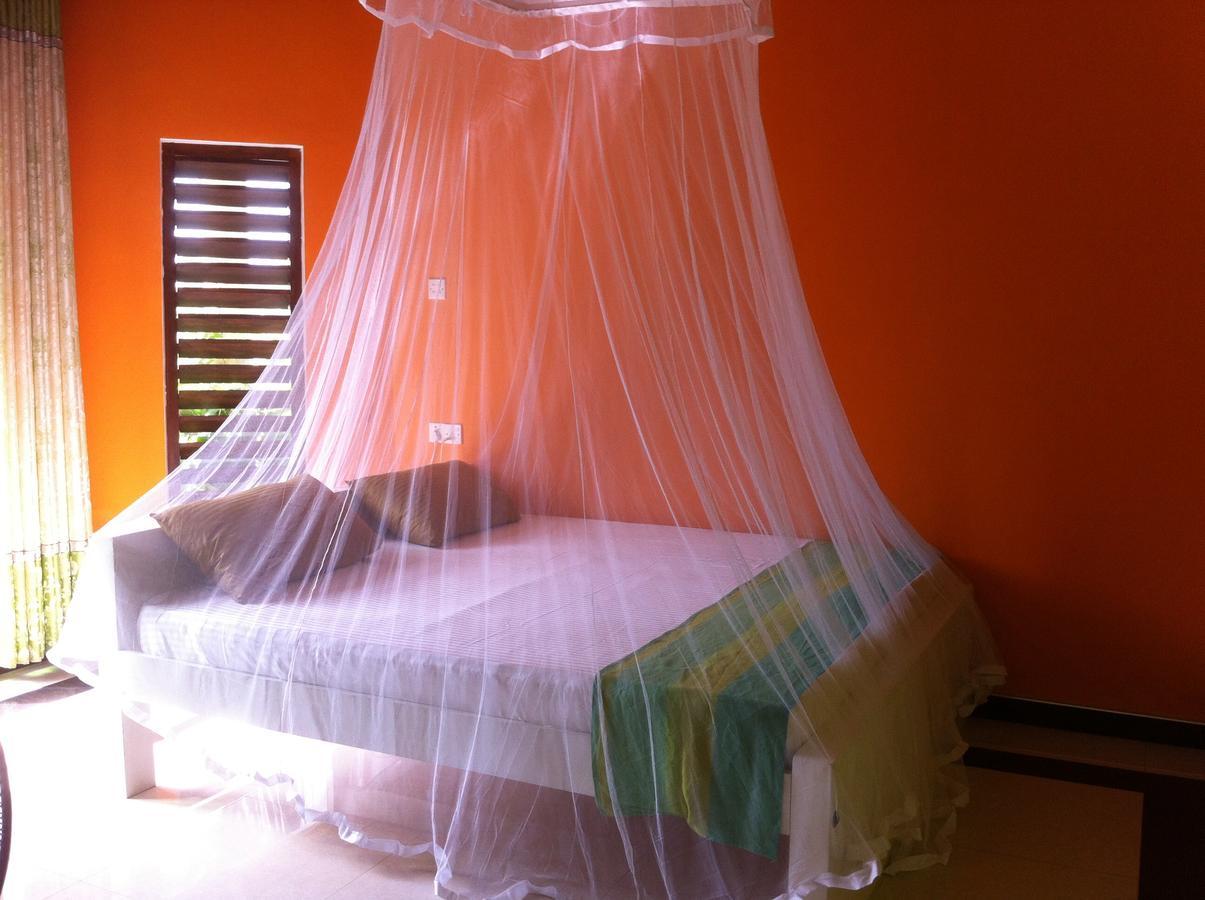 Bee Nest Bed&Breakfast Negombo Exterior foto